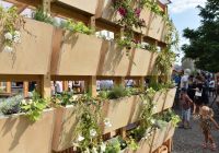 dsc9791180822mestskabunka6